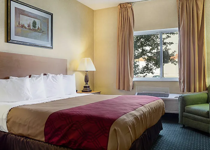Lodge Econo - West Acres